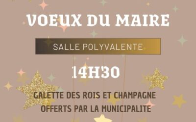 VOEUX DU MAIRE 10 JANVIER 2026